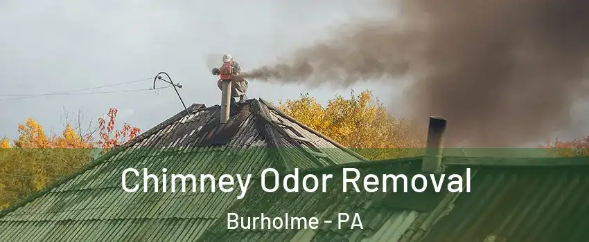Chimney Odor Removal Burholme - PA