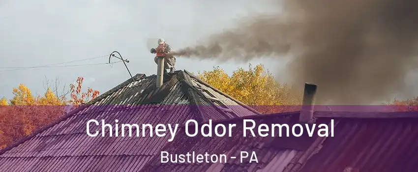 Chimney Odor Removal Bustleton - PA