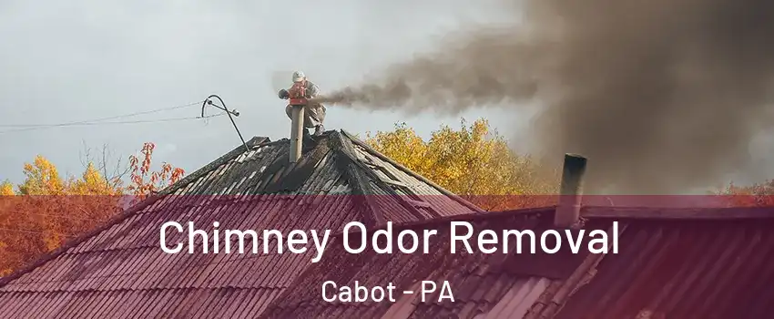 Chimney Odor Removal Cabot - PA