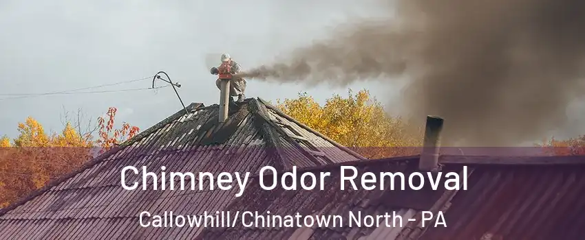 Chimney Odor Removal Callowhill/Chinatown North - PA