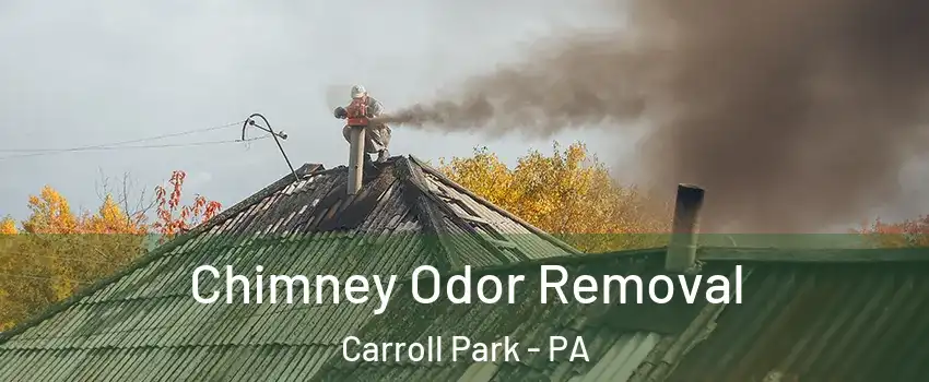 Chimney Odor Removal Carroll Park - PA