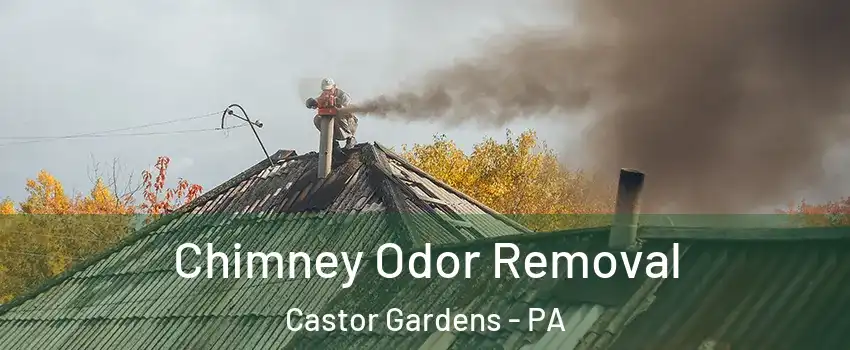 Chimney Odor Removal Castor Gardens - PA