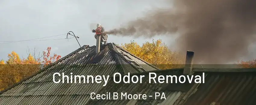 Chimney Odor Removal Cecil B Moore - PA