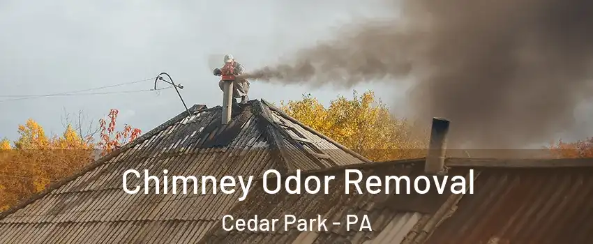 Chimney Odor Removal Cedar Park - PA