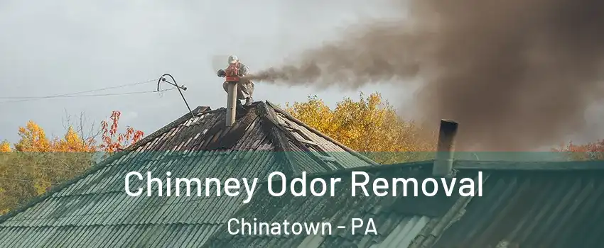 Chimney Odor Removal Chinatown - PA