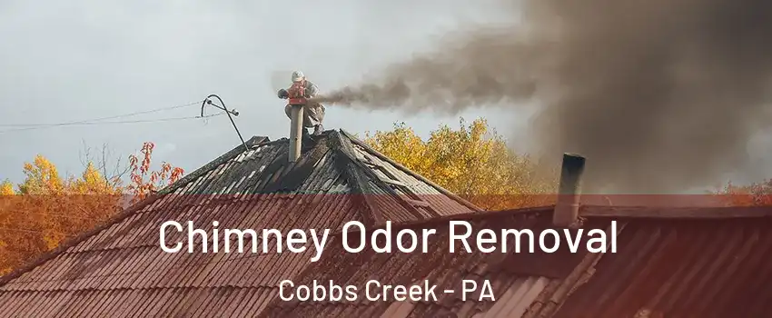 Chimney Odor Removal Cobbs Creek - PA