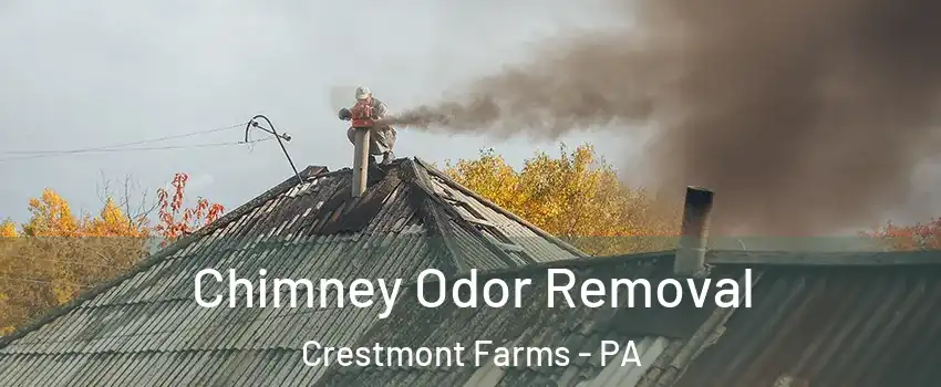 Chimney Odor Removal Crestmont Farms - PA