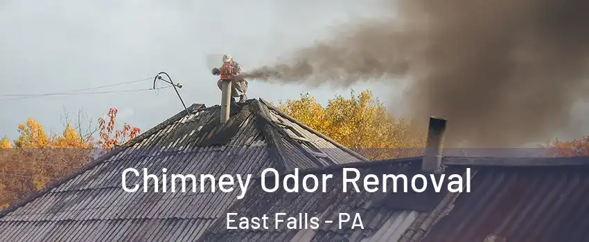 Chimney Odor Removal East Falls - PA