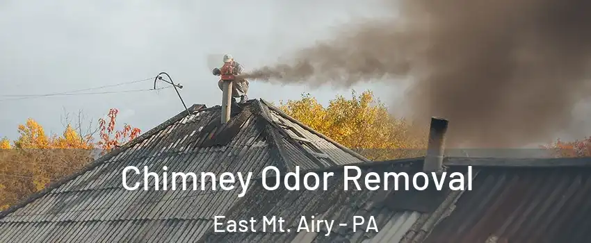 Chimney Odor Removal East Mt. Airy - PA
