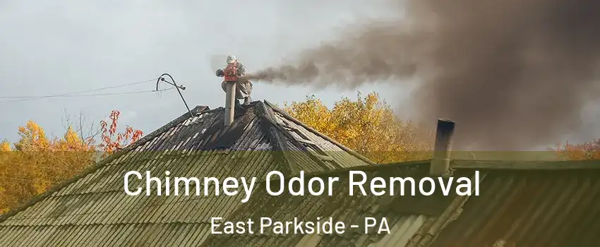 Chimney Odor Removal East Parkside - PA