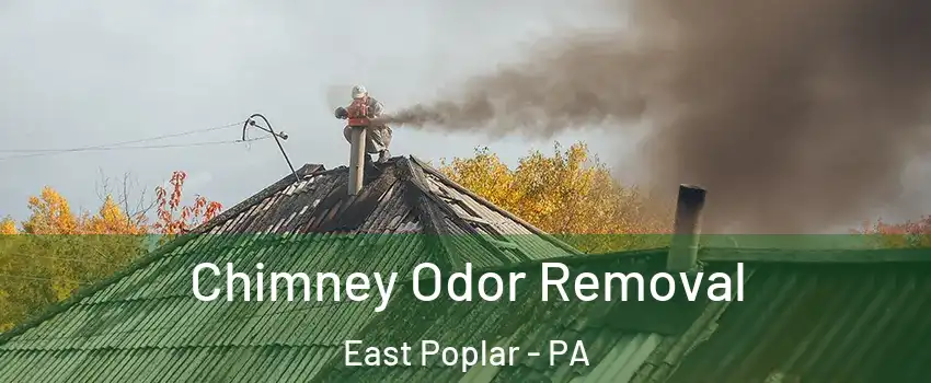 Chimney Odor Removal East Poplar - PA