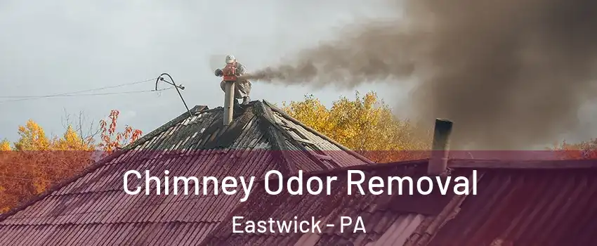 Chimney Odor Removal Eastwick - PA