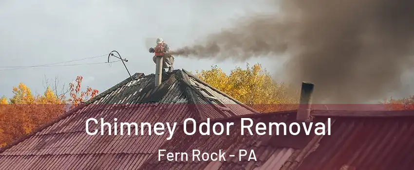 Chimney Odor Removal Fern Rock - PA