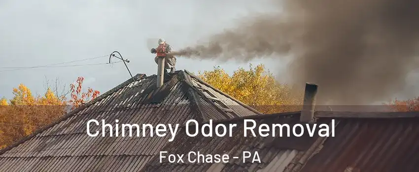 Chimney Odor Removal Fox Chase - PA