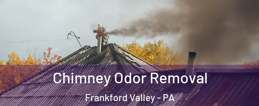 Chimney Odor Removal Frankford Valley - PA