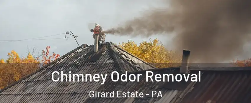 Chimney Odor Removal Girard Estate - PA