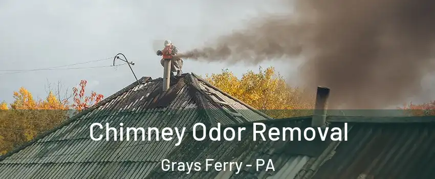 Chimney Odor Removal Grays Ferry - PA