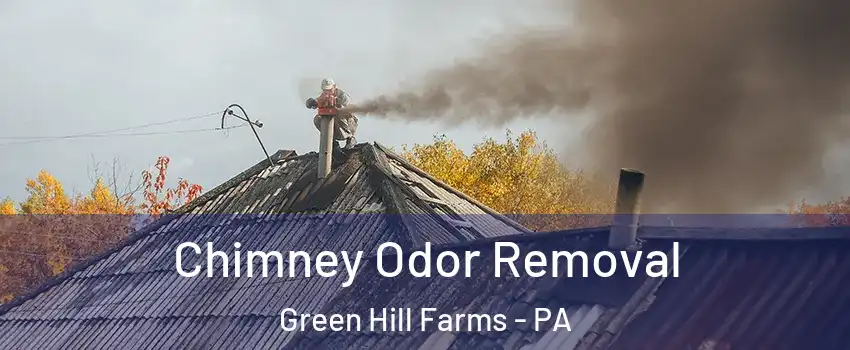 Chimney Odor Removal Green Hill Farms - PA