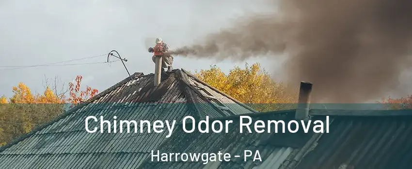 Chimney Odor Removal Harrowgate - PA