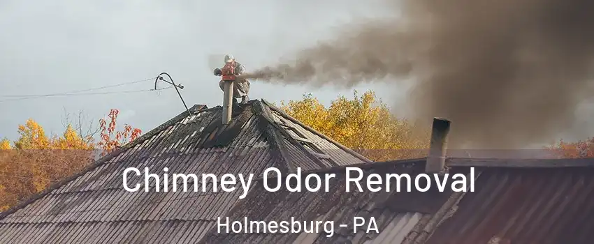 Chimney Odor Removal Holmesburg - PA