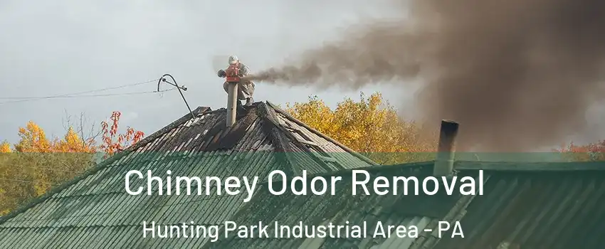 Chimney Odor Removal Hunting Park Industrial Area - PA