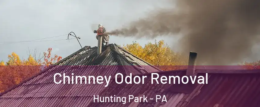 Chimney Odor Removal Hunting Park - PA