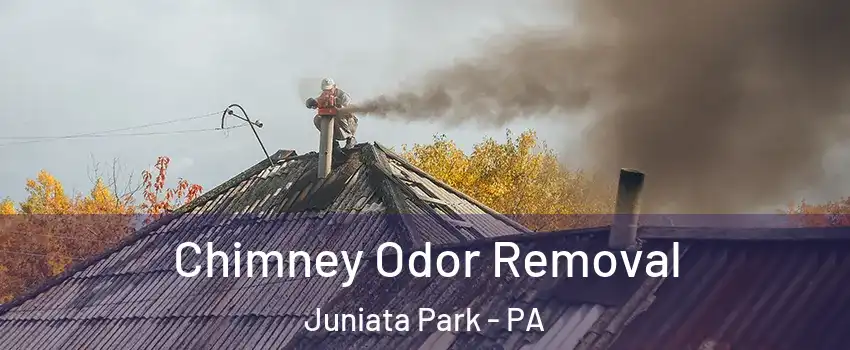 Chimney Odor Removal Juniata Park - PA