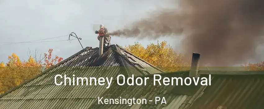 Chimney Odor Removal Kensington - PA