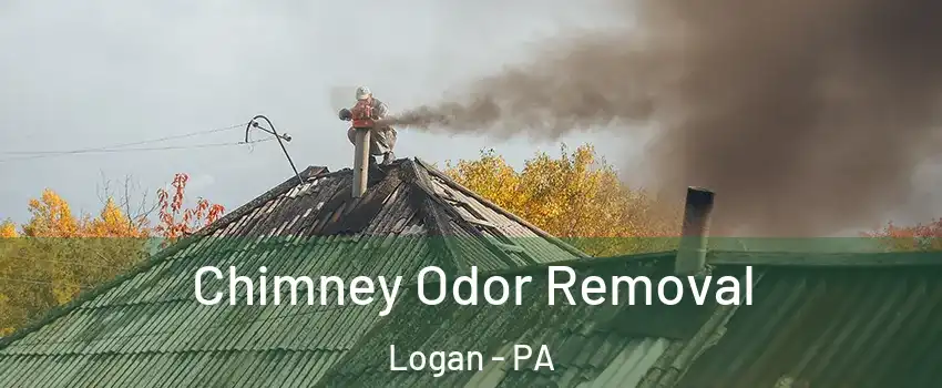 Chimney Odor Removal Logan - PA