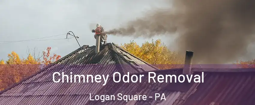 Chimney Odor Removal Logan Square - PA