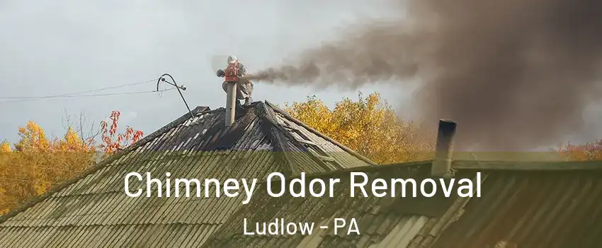 Chimney Odor Removal Ludlow - PA