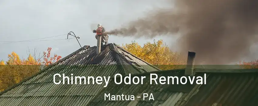 Chimney Odor Removal Mantua - PA