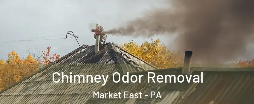 Chimney Odor Removal Market East - PA