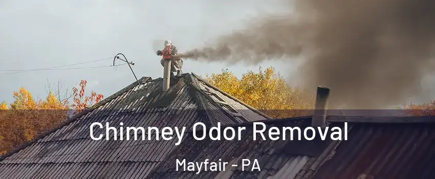 Chimney Odor Removal Mayfair - PA