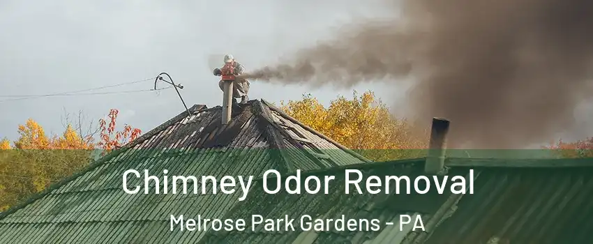 Chimney Odor Removal Melrose Park Gardens - PA