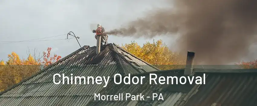 Chimney Odor Removal Morrell Park - PA