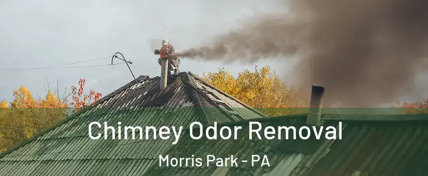 Chimney Odor Removal Morris Park - PA