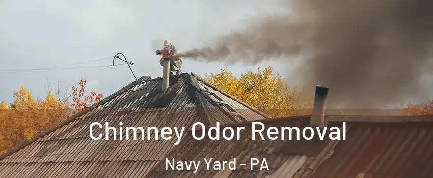 Chimney Odor Removal Navy Yard - PA