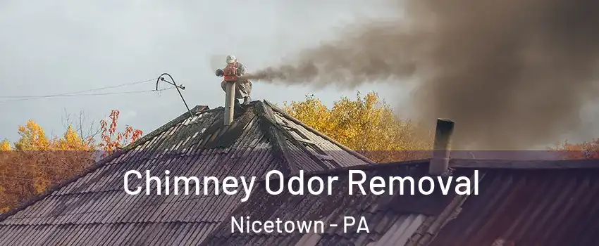 Chimney Odor Removal Nicetown - PA