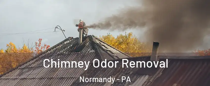 Chimney Odor Removal Normandy - PA