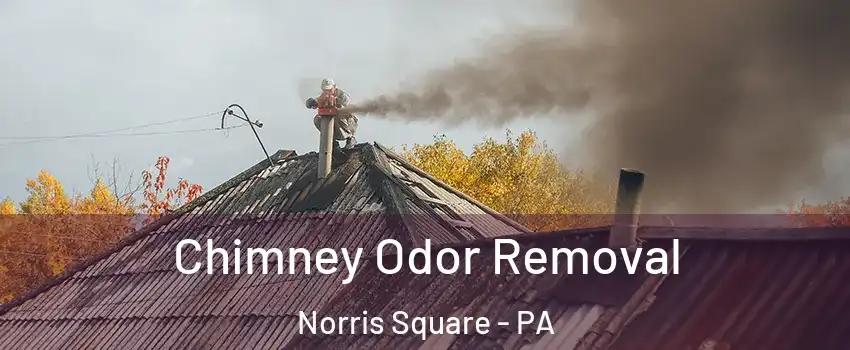 Chimney Odor Removal Norris Square - PA
