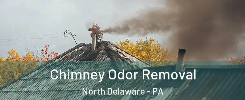 Chimney Odor Removal North Delaware - PA