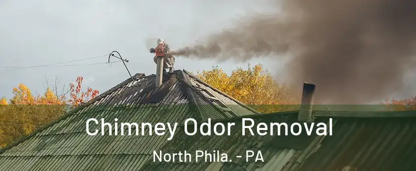 Chimney Odor Removal North Phila. - PA