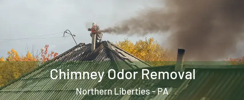 Chimney Odor Removal Northern Liberties - PA