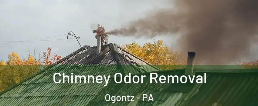 Chimney Odor Removal Ogontz - PA