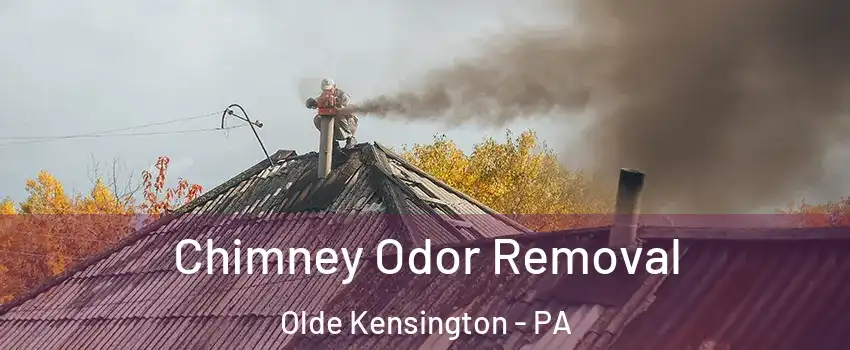 Chimney Odor Removal Olde Kensington - PA