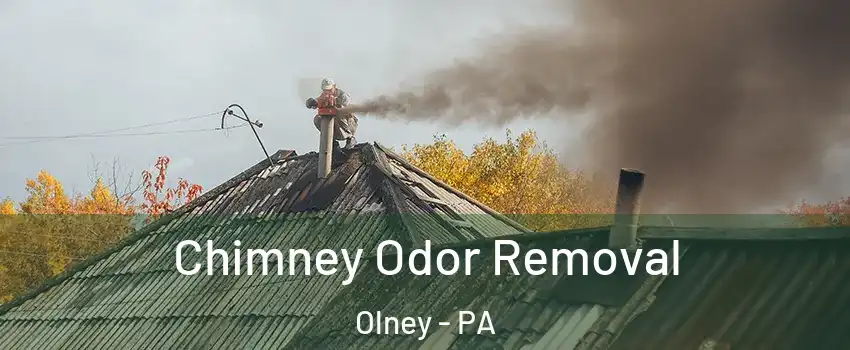 Chimney Odor Removal Olney - PA