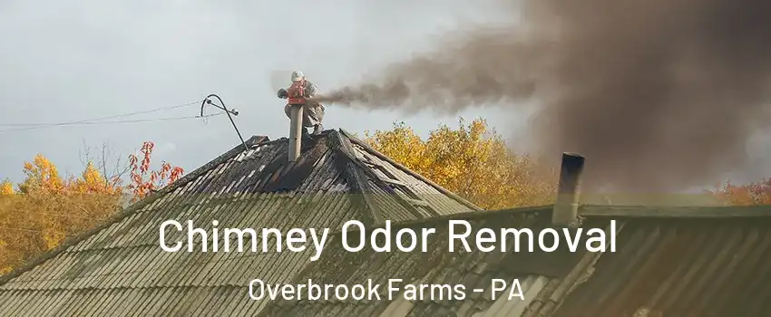 Chimney Odor Removal Overbrook Farms - PA