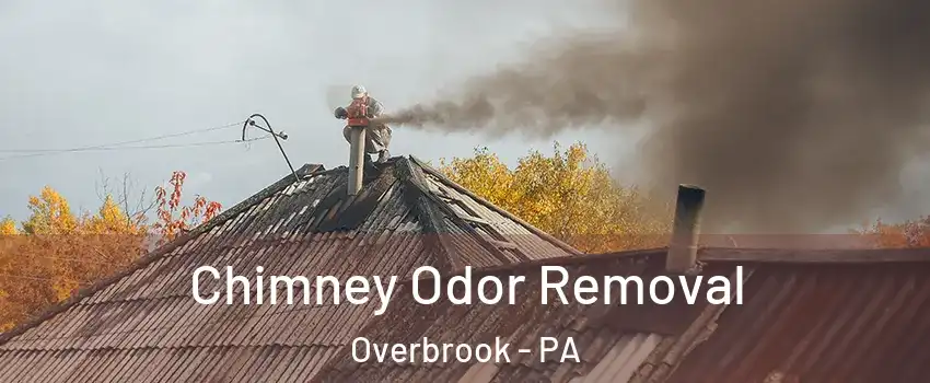 Chimney Odor Removal Overbrook - PA
