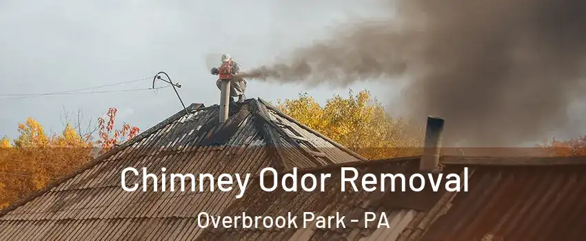 Chimney Odor Removal Overbrook Park - PA